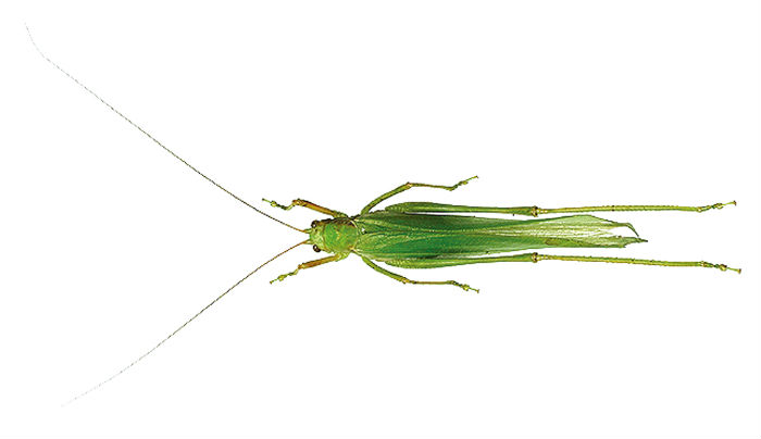140508_korea_nature_11.jpg