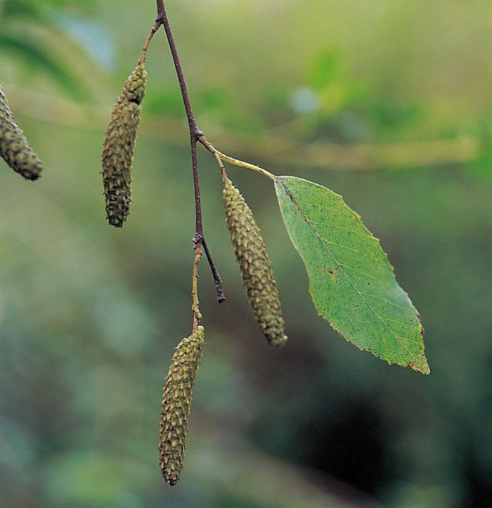 140508_korea_nature_22.jpg