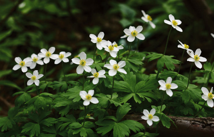 140508_korea_nature_44.jpg