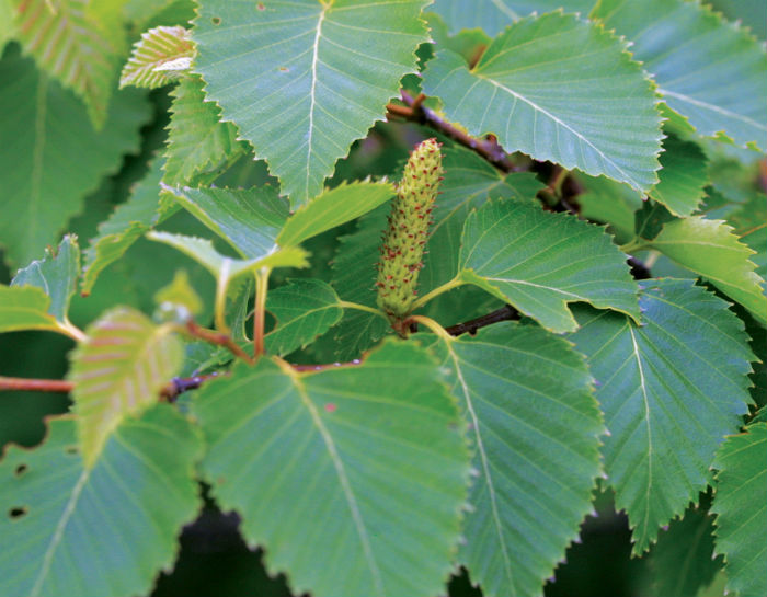 140515_korea_nature_2.jpg