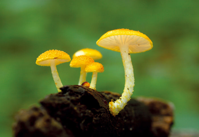 140515_korea_nature_33.jpg