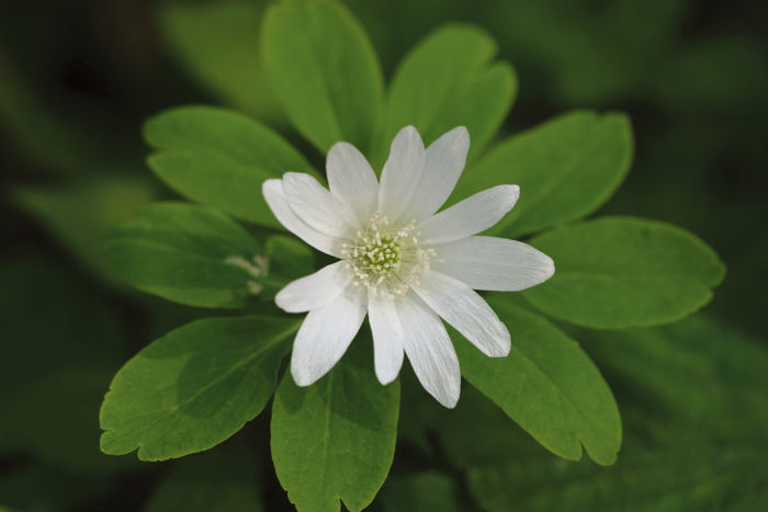 140515_korea_nature_4.jpg