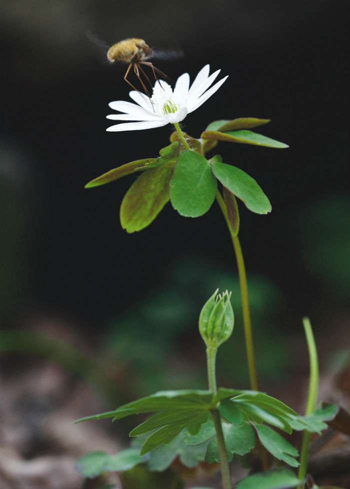 140515_korea_nature_444.jpg