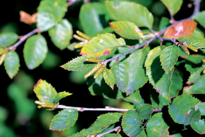140529_korea_nature_2.jpg