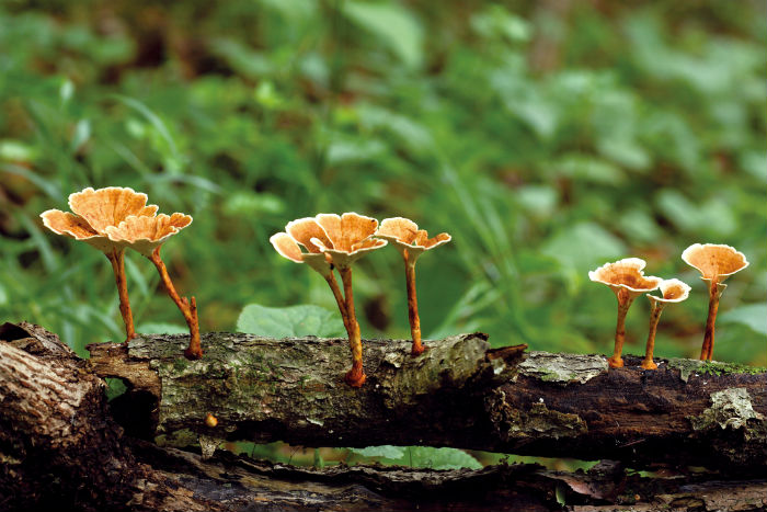 140529_korea_nature_3.jpg