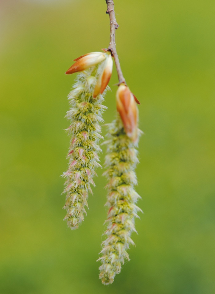 140605_korea_nature_22.jpg