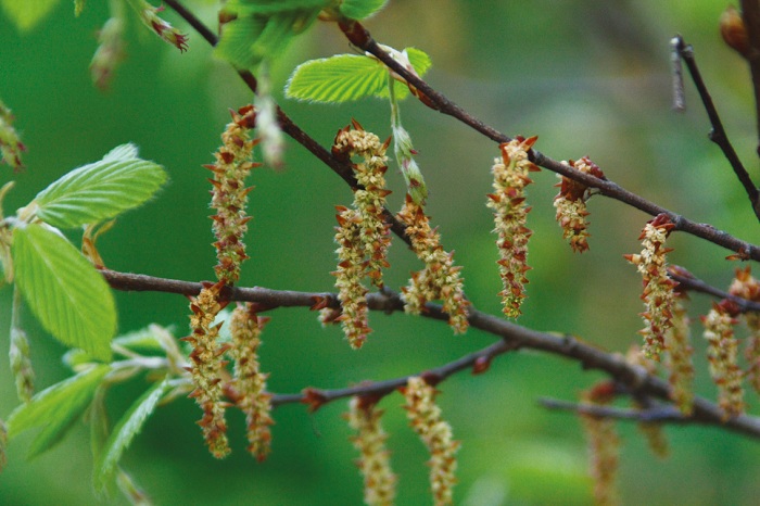 140619_korea_nature_2.jpg