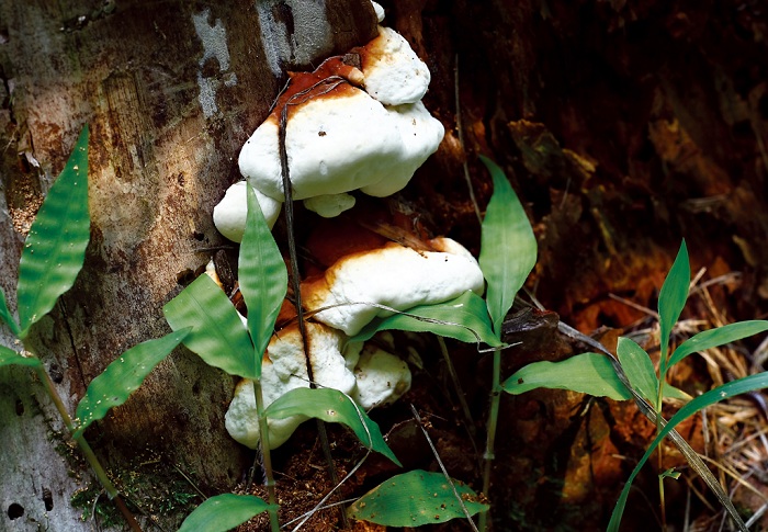 140619_korea_nature_3.jpg