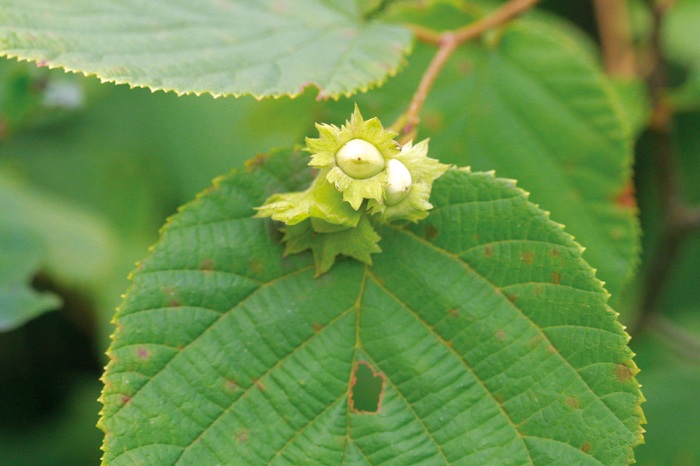 140626_korea_nature_2.jpg