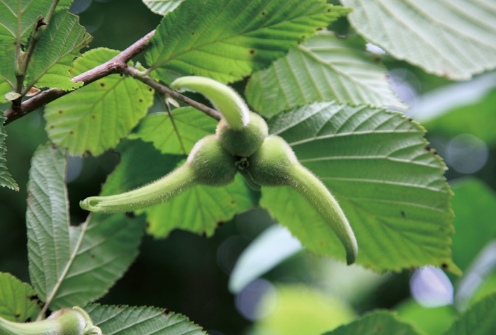 140626_korea_nature_2222.jpg
