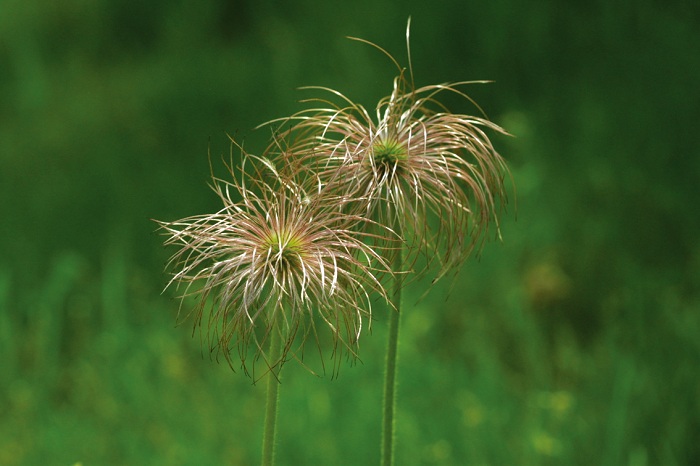 140626_korea_nature_4.jpg