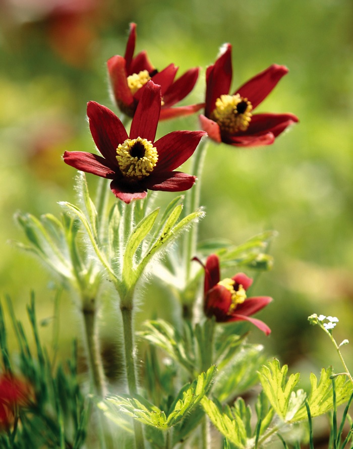 140626_korea_nature_444.jpg