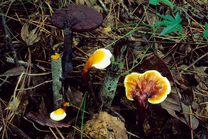 140709_korea_nature_3.jpg