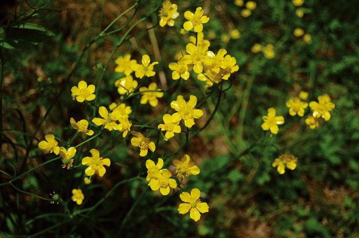 140709_korea_nature_4444.jpg