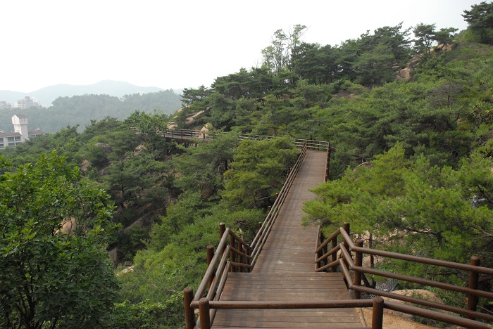 Cloud Garden Trail 