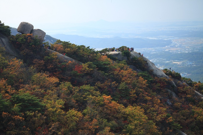 The foliage of the Hidden Wall