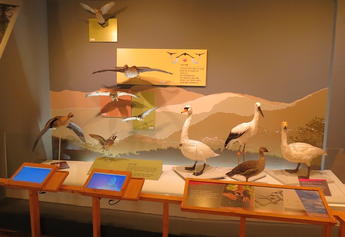 140826_korea_birds_3.jpg