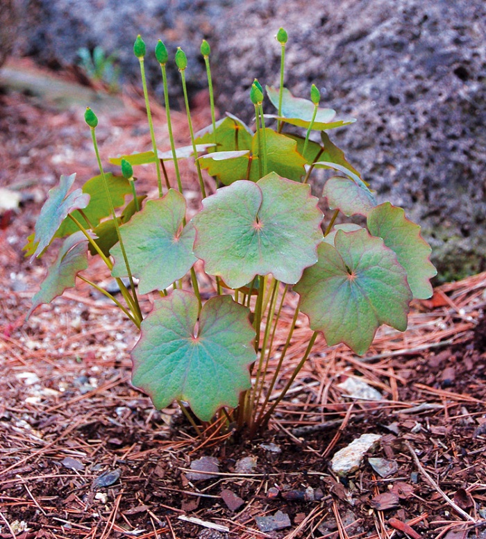 140827_korea_nature_3333.jpg