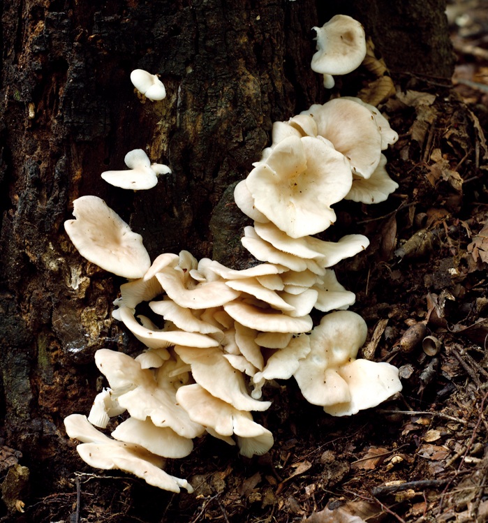 140827_korea_nature_4.jpg