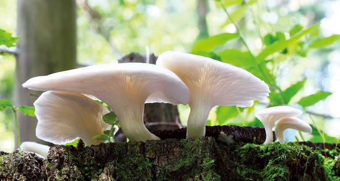 140827_korea_nature_44.jpg