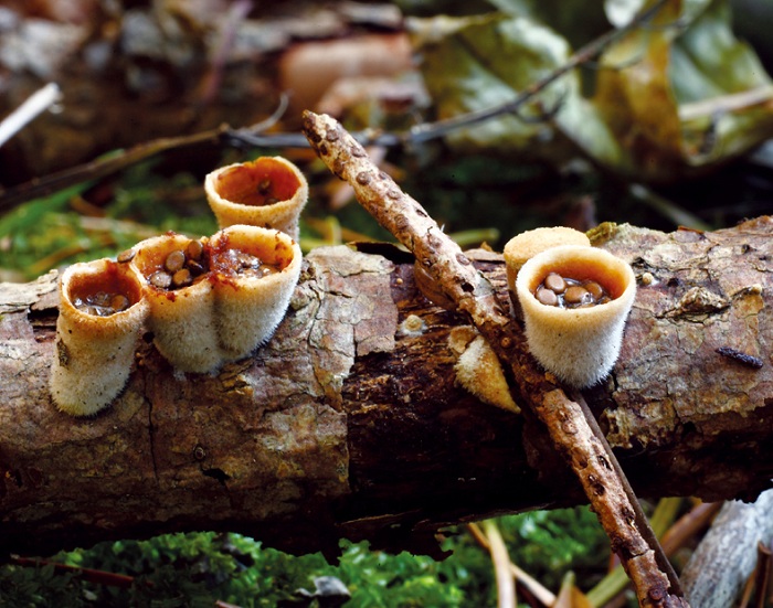 141121_korea_nature_3.jpg