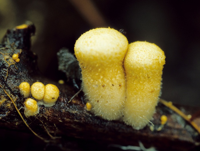 141121_korea_nature_33.jpg