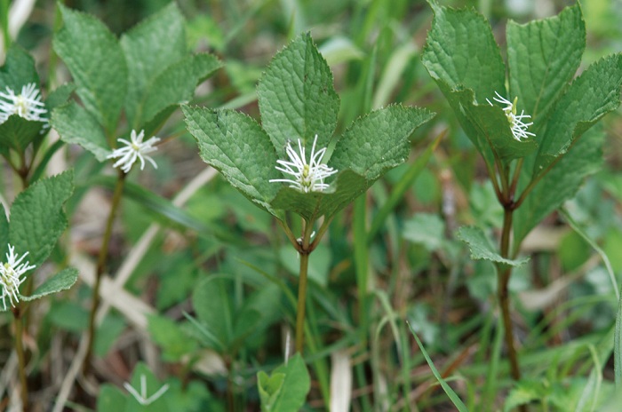141121_korea_nature_44.jpg