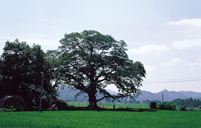 141203_korea_nature_2.jpg