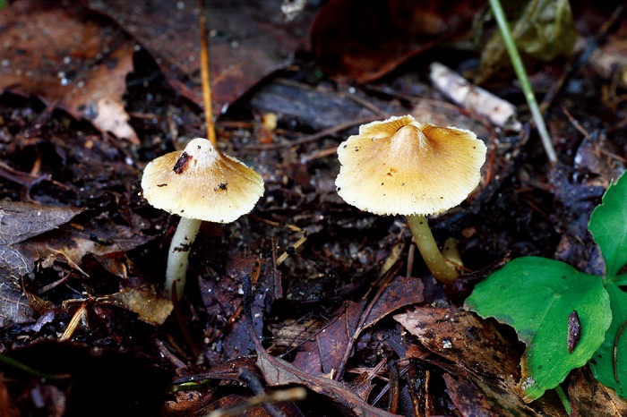 141203_korea_nature_3.jpg