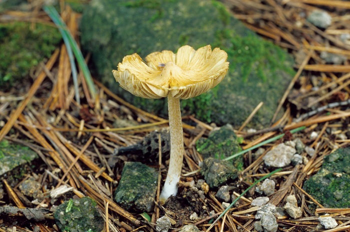141203_korea_nature_33.jpg