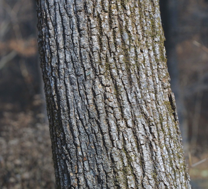 141210_Korea_nature_222.jpg