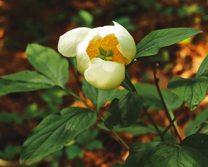 141210_Korea_nature_4.jpg