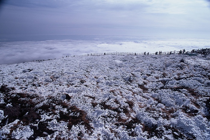 The photo exhibition showcases the beautiful landscape of Hallasan Mountain in every season, and shows the flora and fauna that inhabit the ancient volcano.