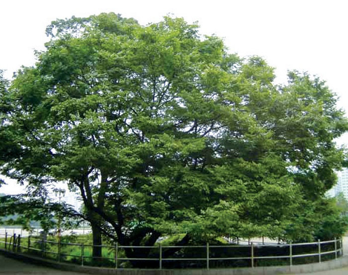 141224_korea_nature_2.jpg