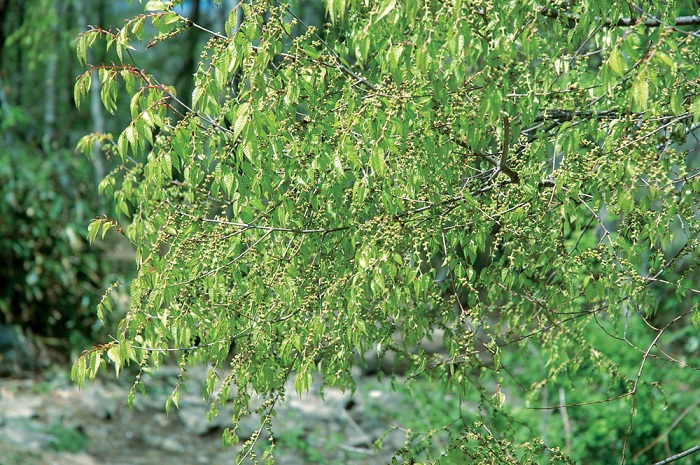141224_korea_nature_22.jpg
