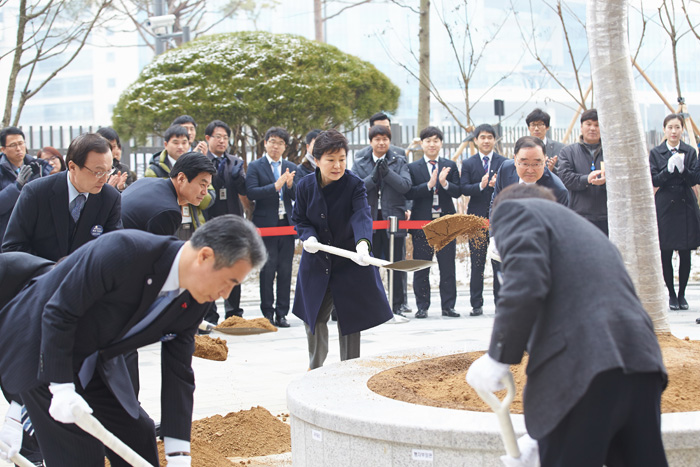 After attending a ceremony to mark the completion of the Sejong Government Complex, President Park Geun-hye helps plant a tree on December 23. 