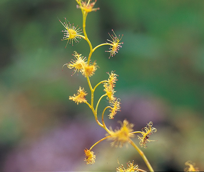150108_korea_nature_4.jpg