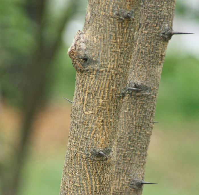 150128_korea_nature_2222.jpg