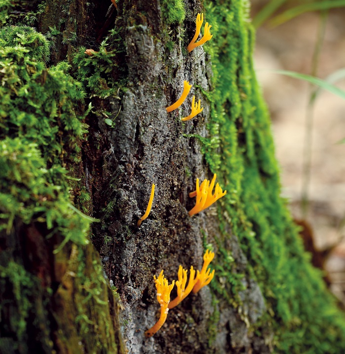 150128_korea_nature_3.jpg