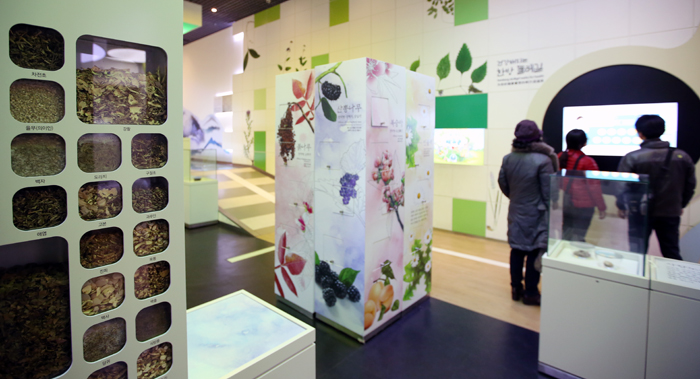 A wide variety of medicinal herbs are on display in Dongguibogamchon Village.