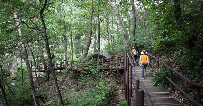 The <i>Sorigil</i>, or, 'Sound Trail,' which leads to Haeinsa Temple offers visitors a chance to get closer to nature.