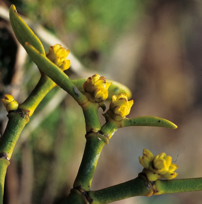 150428_Nature_Korea_222.jpg