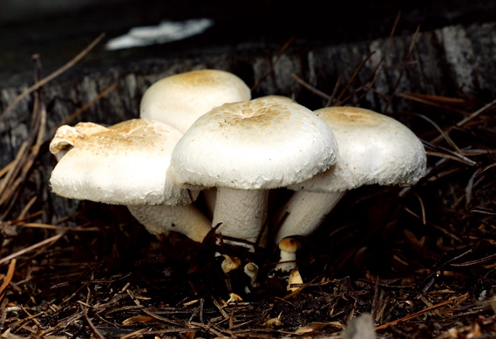 150611_Korea_nature_33.jpg