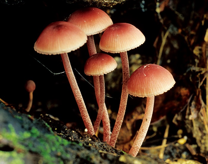 150715_nature_33.jpg