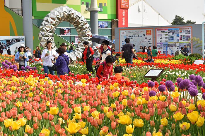 160405_goyang_art1.jpg