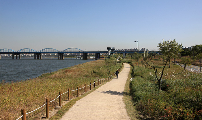 Top 5 Hangang River trails to explore this fall : Korea.net : The official  website of the Republic of Korea