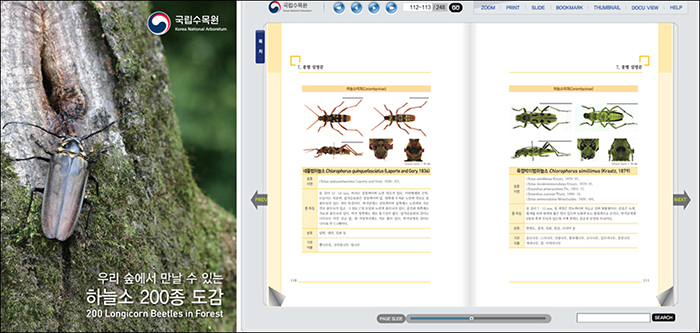 170207_beetle_art1.jpg