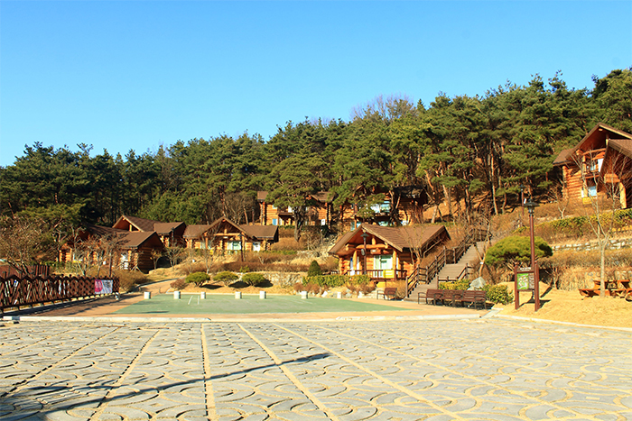 170330_Goryeong4_in.jpg