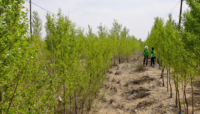 180328_kubuchi_desert_in2.JPG