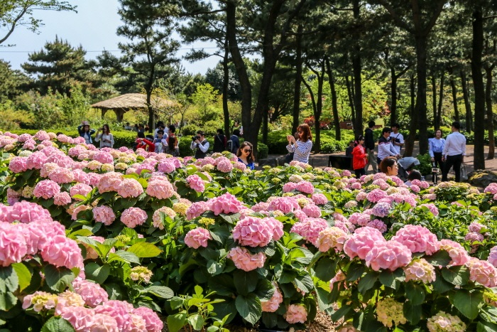 180521_article5.jpg